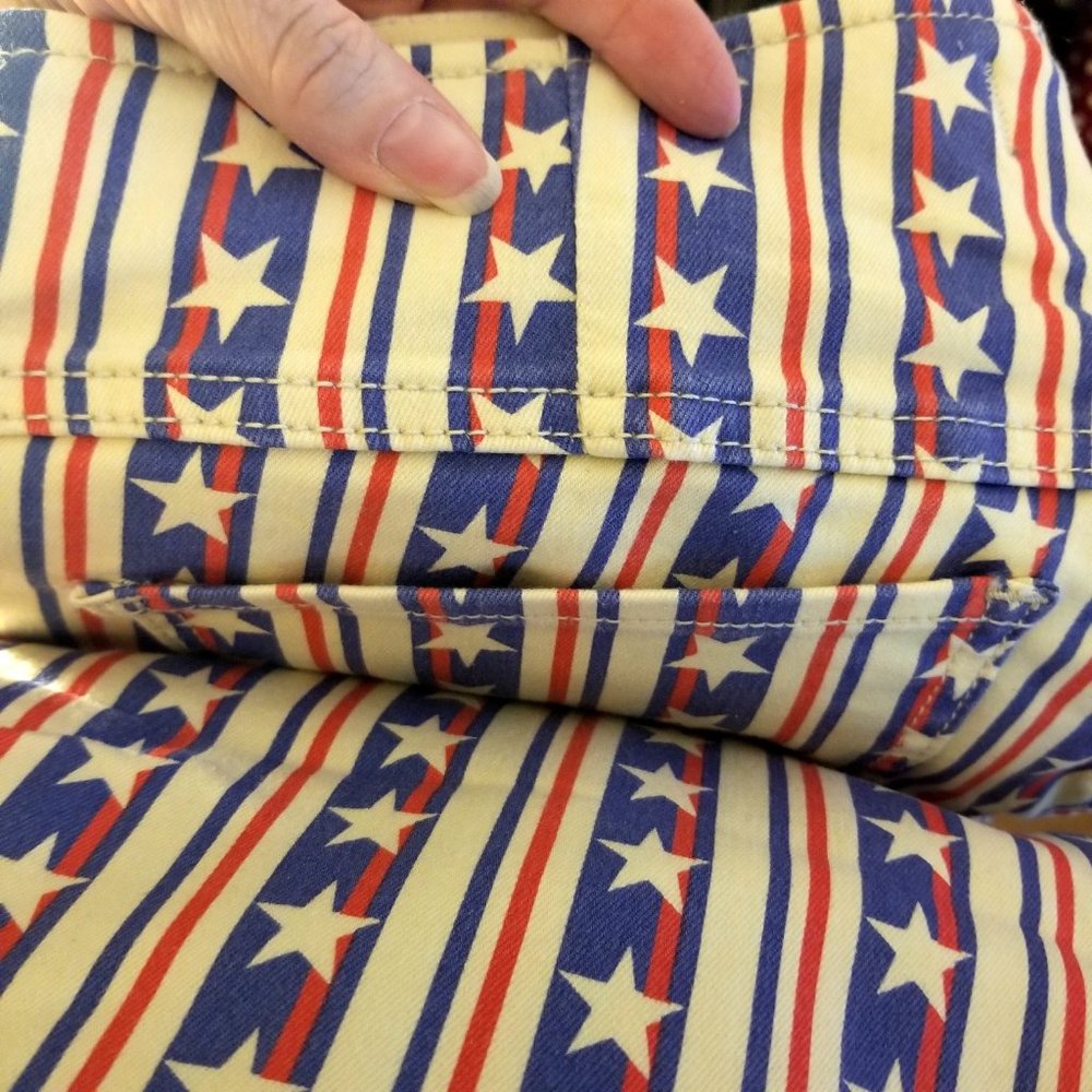 LAST PAIR !  Free People Stars Pants Penny Stripe Jeans American Flag USA - Picture 9 of 14